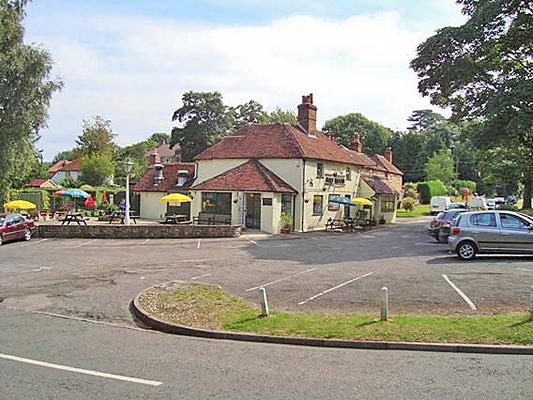 Half Moon - Half Moon Petersfield Road Midhurst West Sussex GU29 9LL