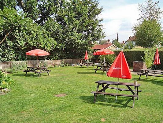 Half Moon - Half Moon Petersfield Road Midhurst West Sussex GU29 9LL