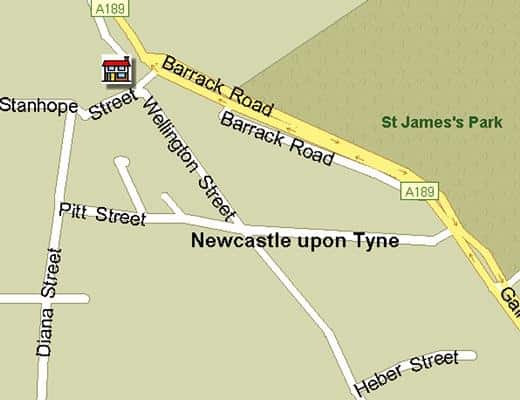 Black & White Bull - 