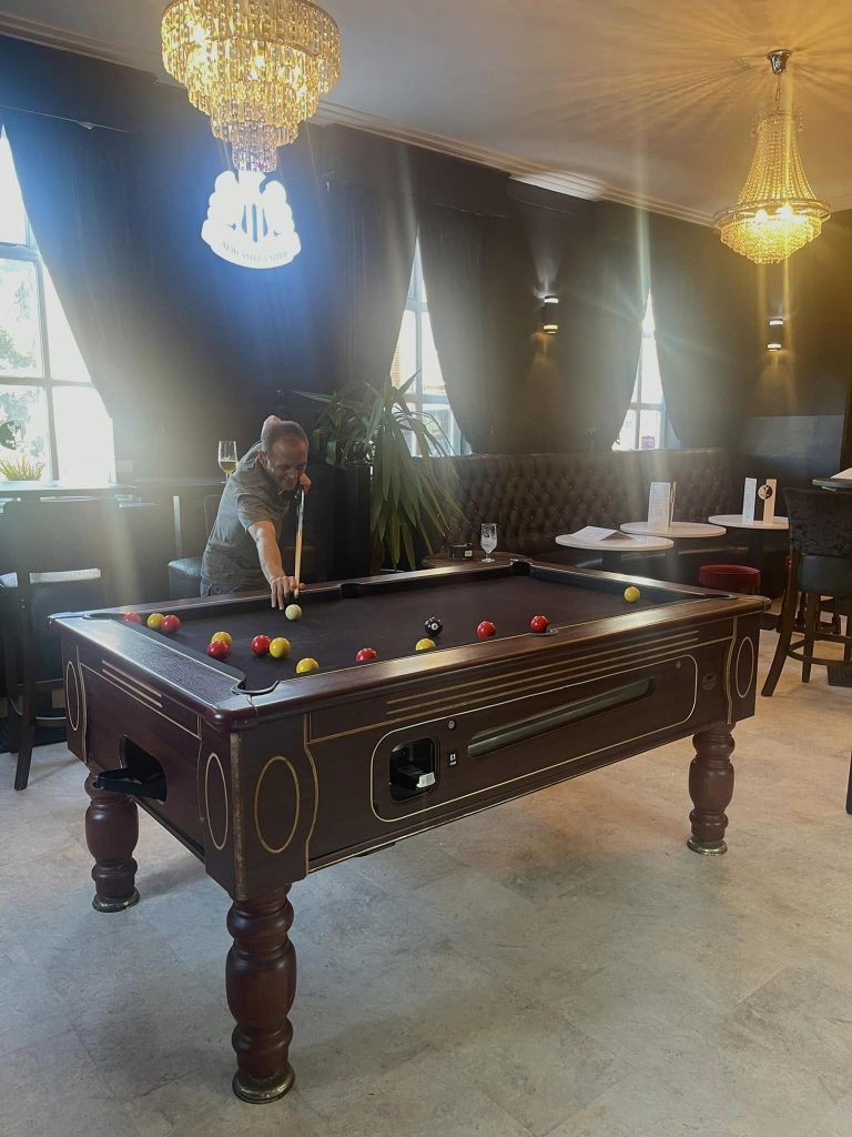 Black & White Bull - 