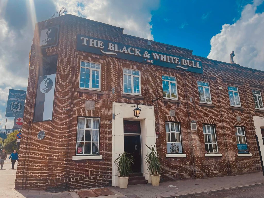 Black & White Bull - 