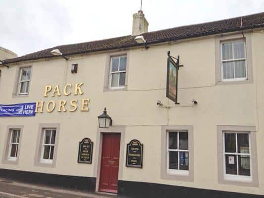Pack Horse - 